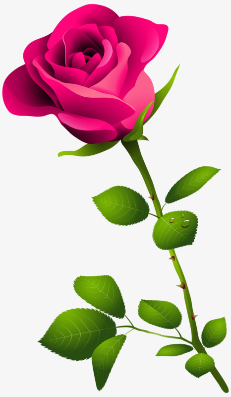 Flower Clipart Rose.