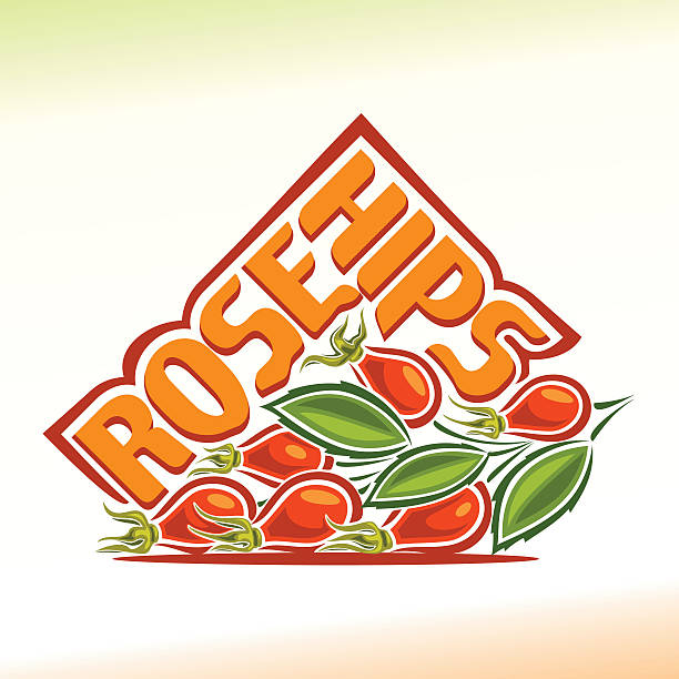 Rose Hip Jam Clip Art, Vector Images & Illustrations.