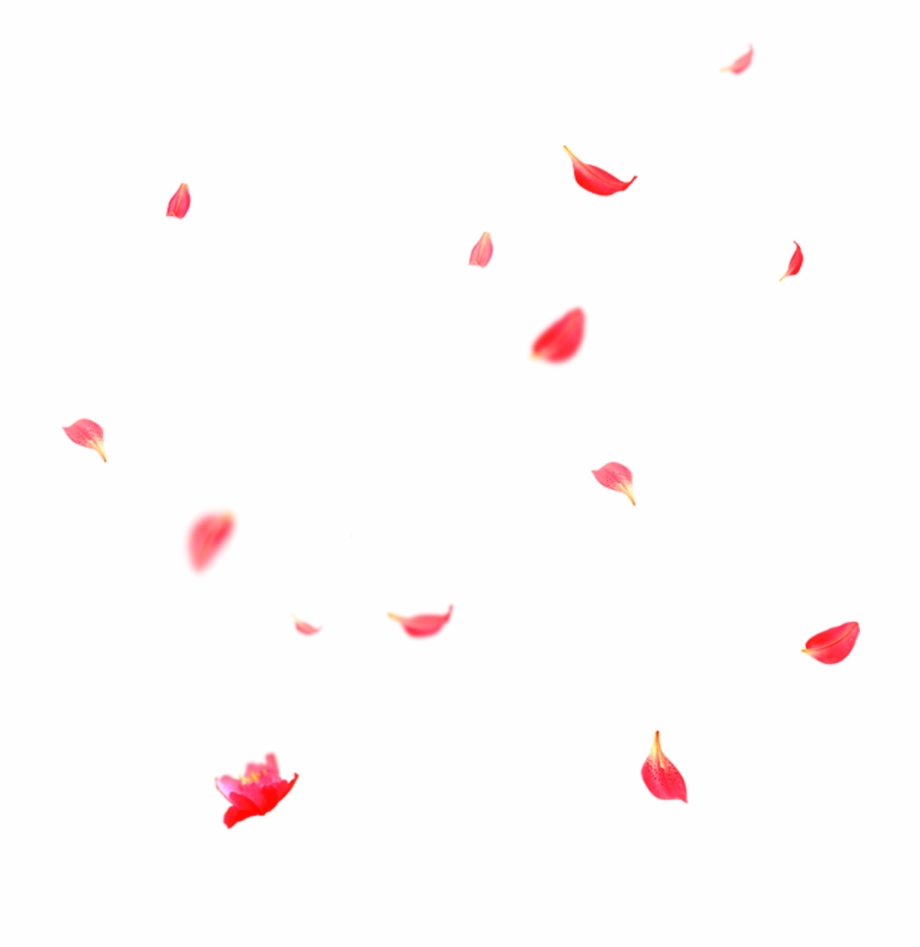 Falling Rose Petals Png {#3190664}.