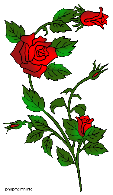 Rose tree clipart 20 free Cliparts | Download images on Clipground 2022