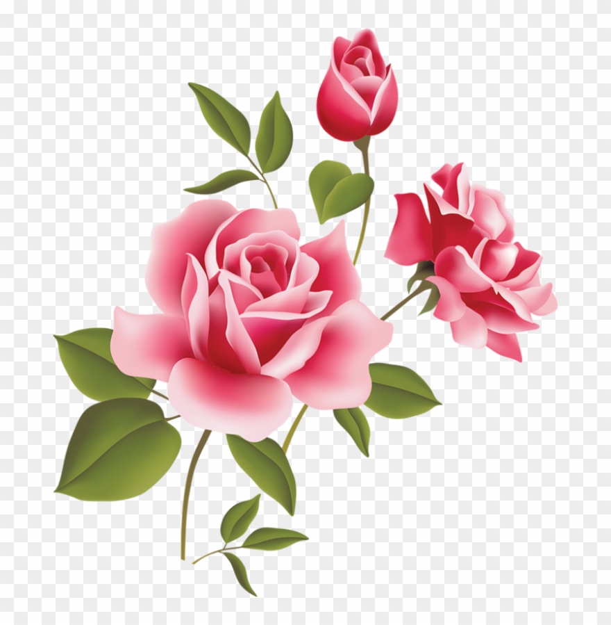 Art Rose Free Download Clip Art Free Clip Art On Clipart.