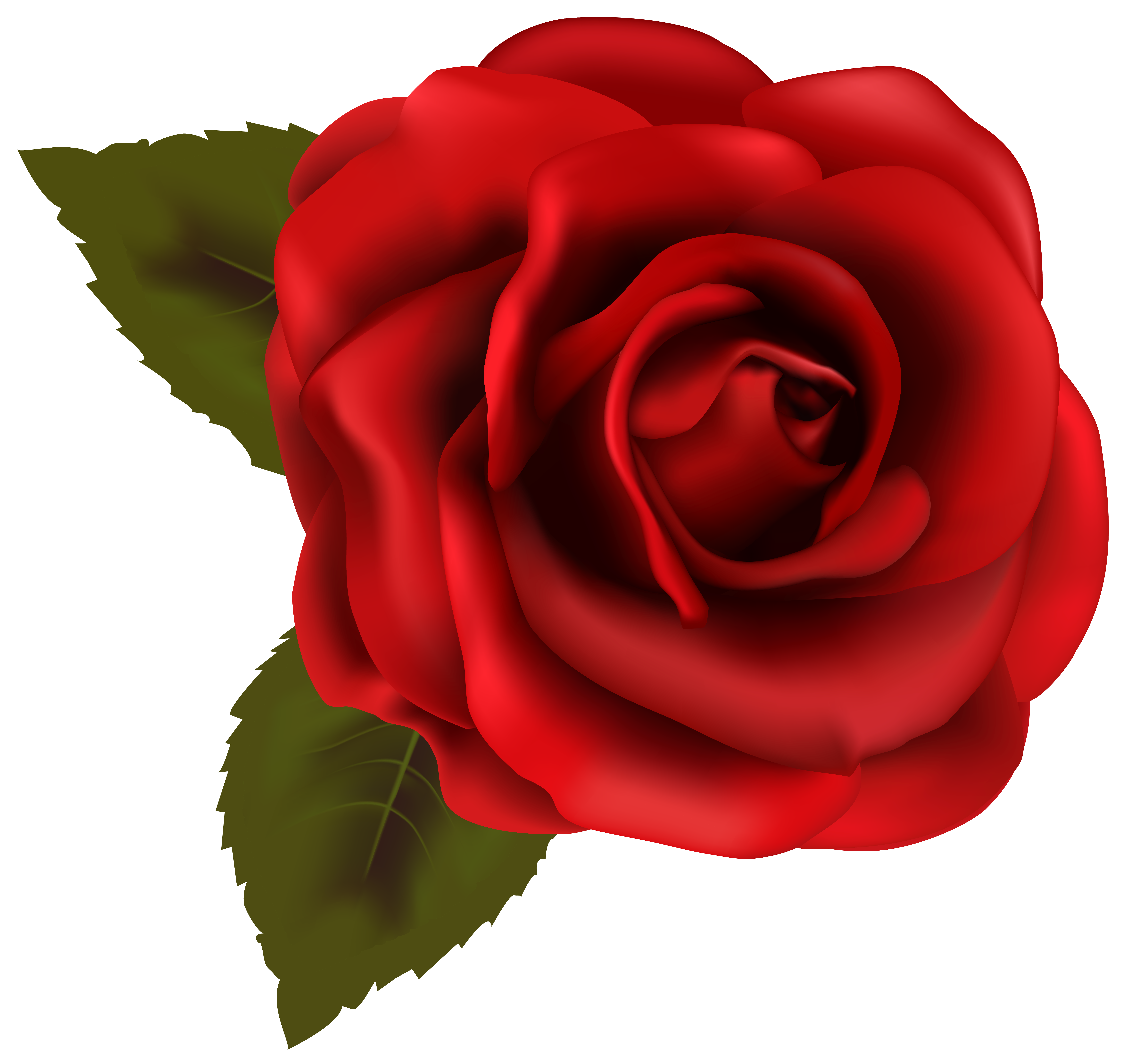 Beautiful Red Rose Transparent PNG Clip Art Image.
