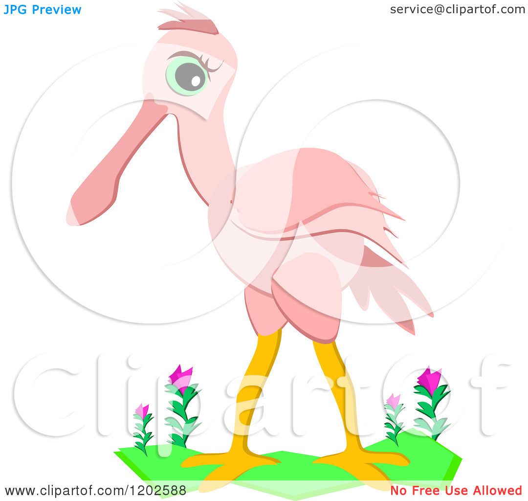 Cartoon of a Cute Pink Roseate Spoonbill Bird.