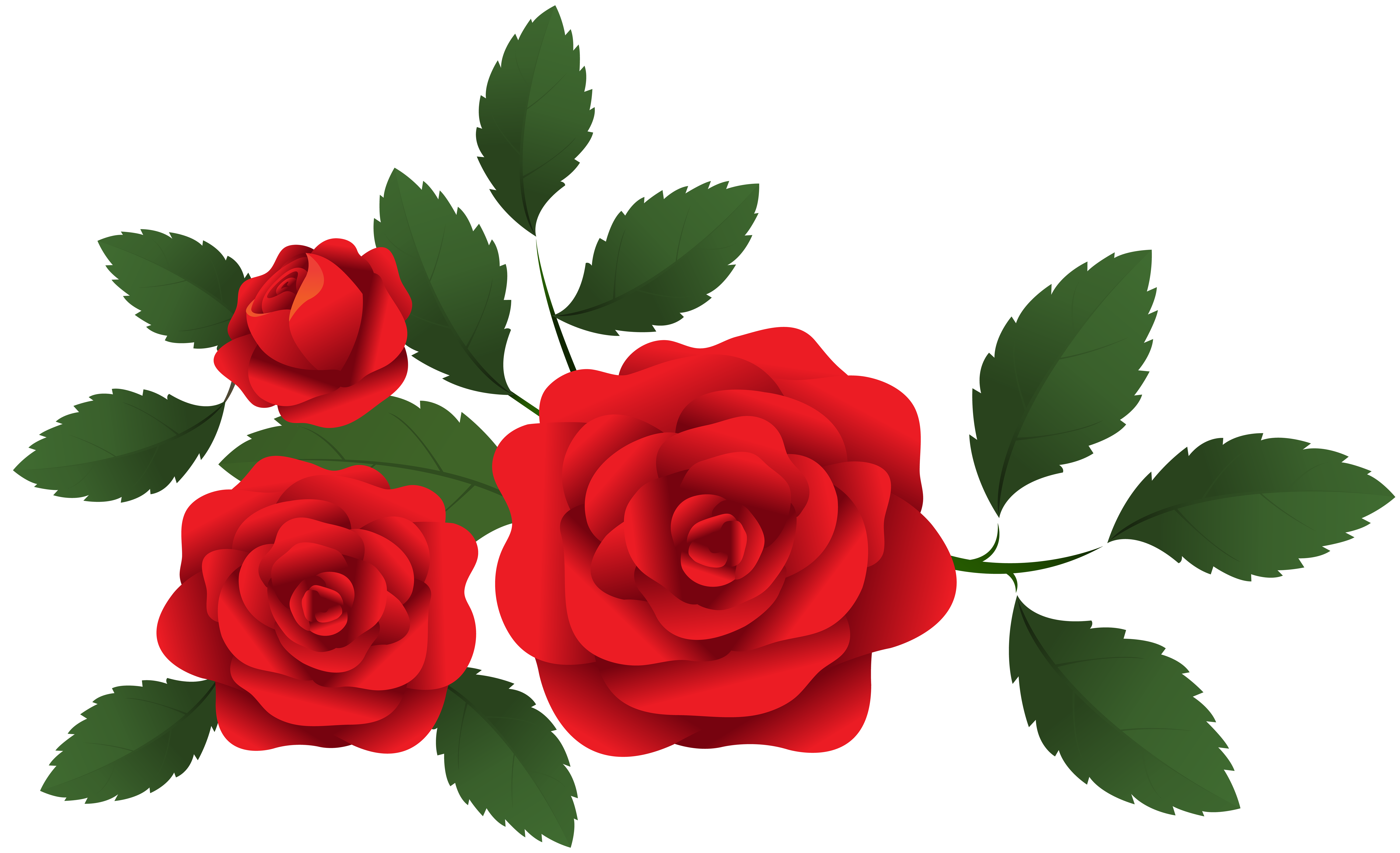 Roses Clip Art 10 Free Cliparts Download Images On Clipground 2024