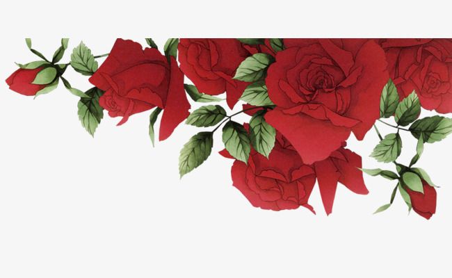 Romantic Red Roses Border, Free Material, Material, Romantic.