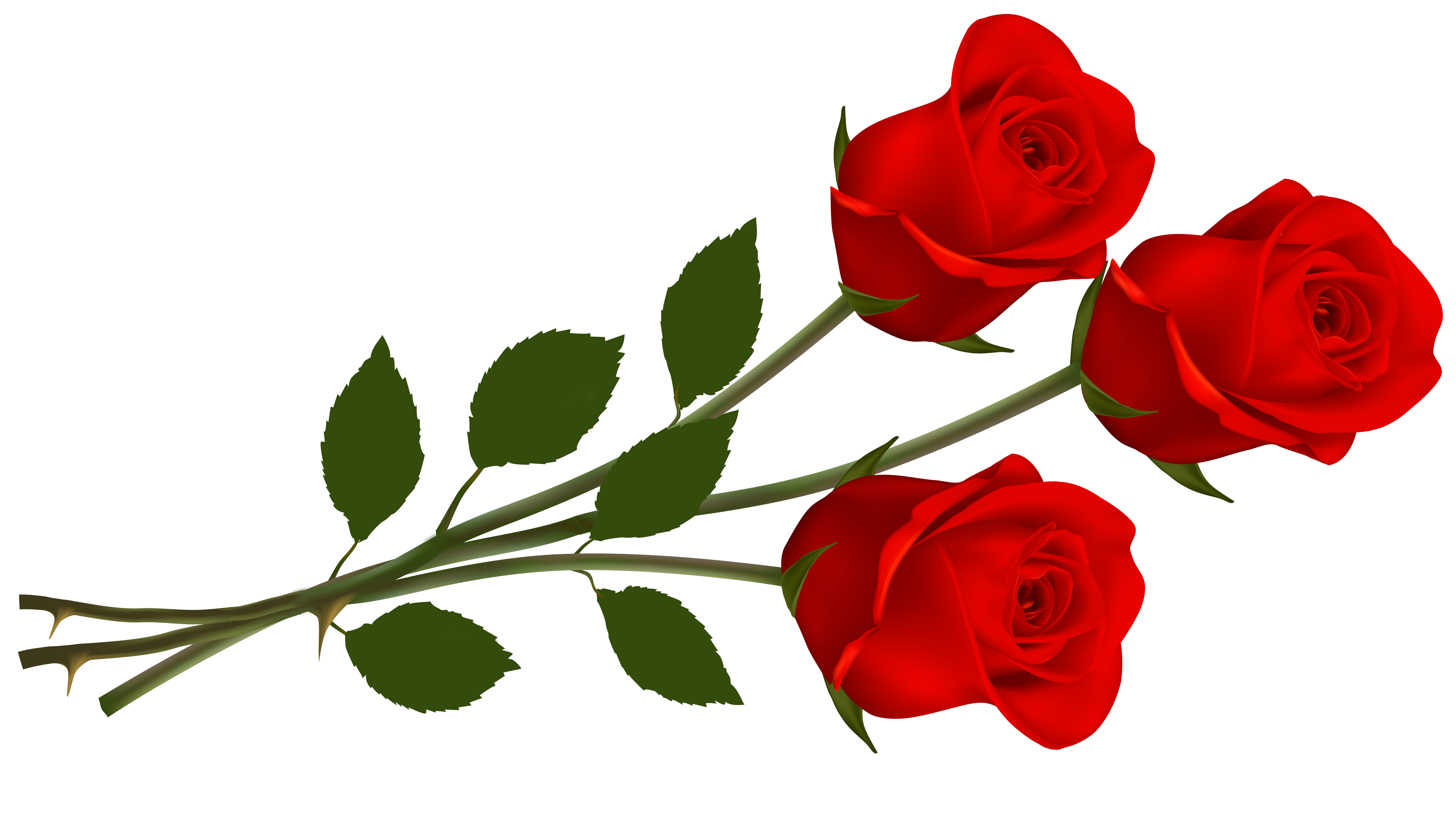 Red Rose Clipart Free.
