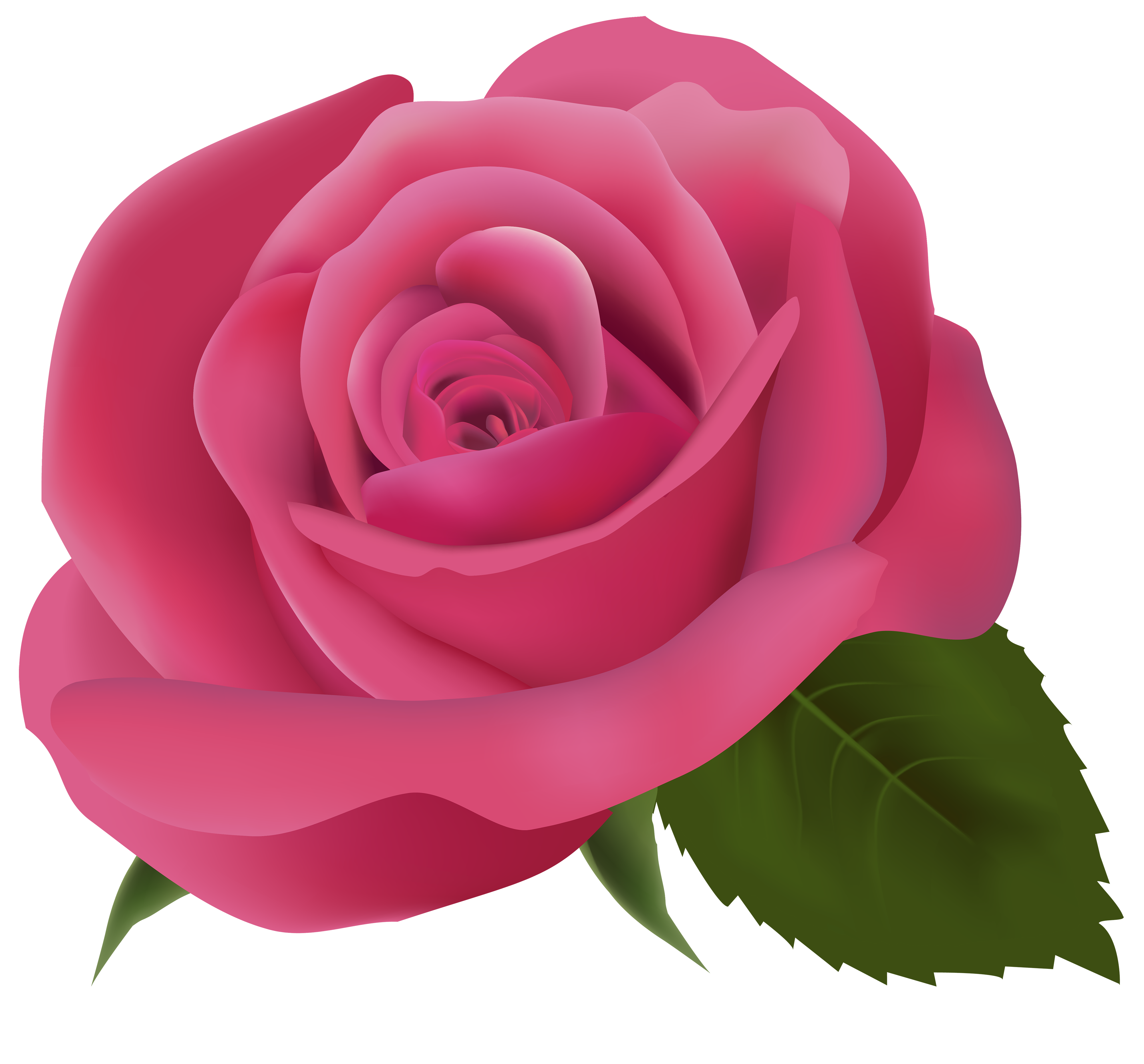 Pink Rose PNG Clipart Image.