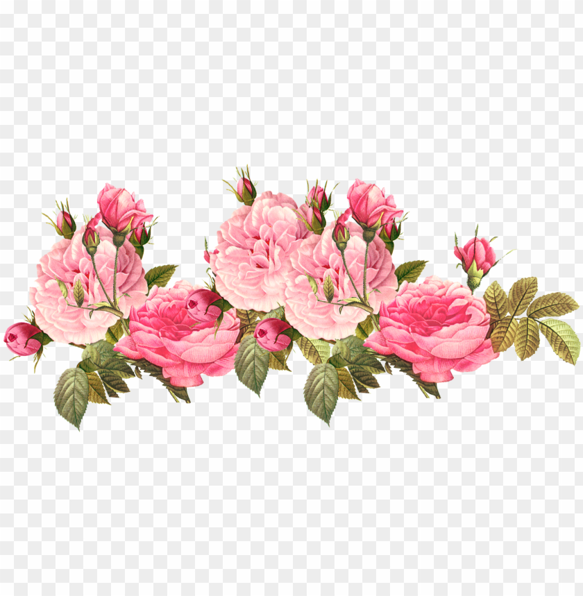 rose clipart png tumblr.