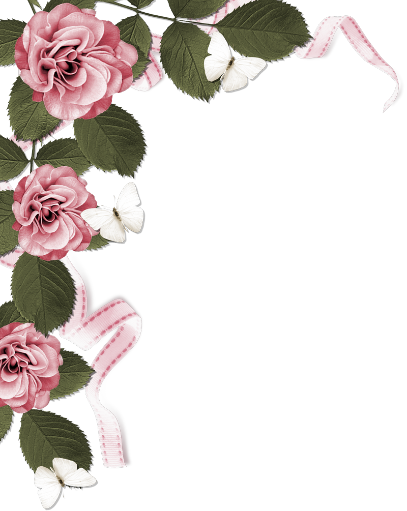 roses-page-border-20-free-cliparts-download-images-on-clipground-2023