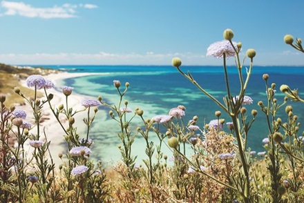 Rottnest Island.