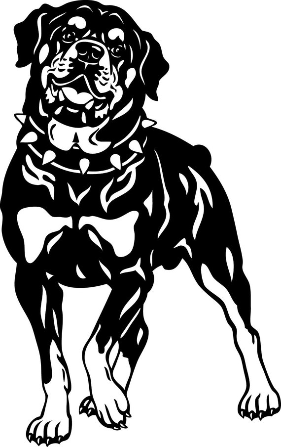 Rottweiler Silhouette / Dog in SVG / Eps / Dxf / Jpg files.