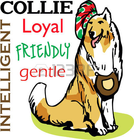 101 Rough Collie Stock Illustrations, Cliparts And Royalty Free.