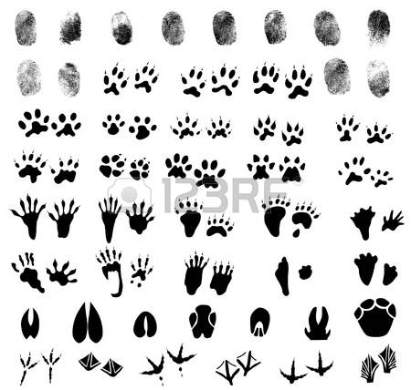 Rough trails clipart 20 free Cliparts | Download images on Clipground 2024