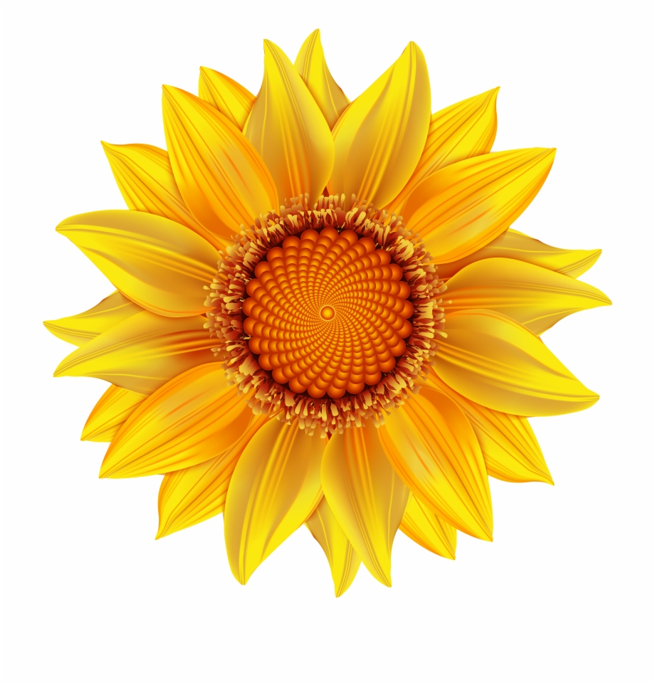 Free Free 180 Yellow Sunflower Svg SVG PNG EPS DXF File