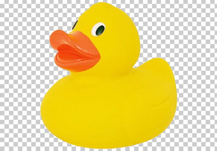 Rubber Duck Toy Plastic PNG, Clipart, Animals, Beak, Bird.