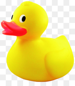 Rubber Duck PNG.