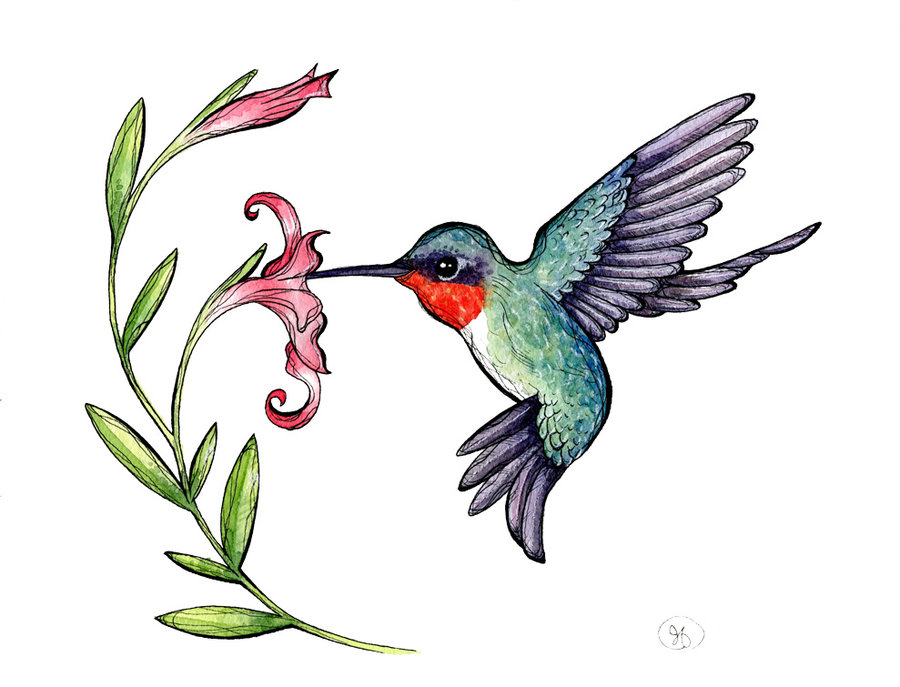 1262 Hummingbird free clipart.