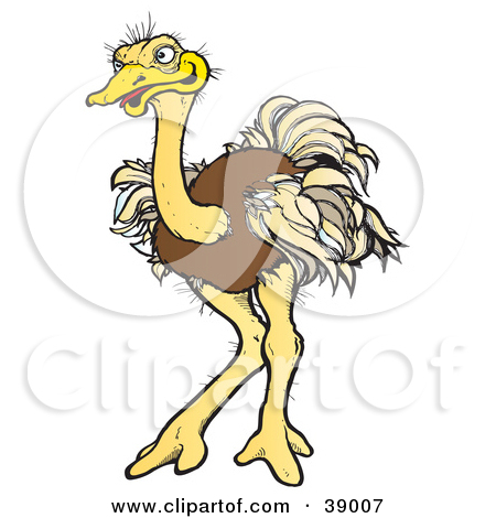 Clipart Illustration of a Brown Ostrich Bird With Ruffled Feathers.