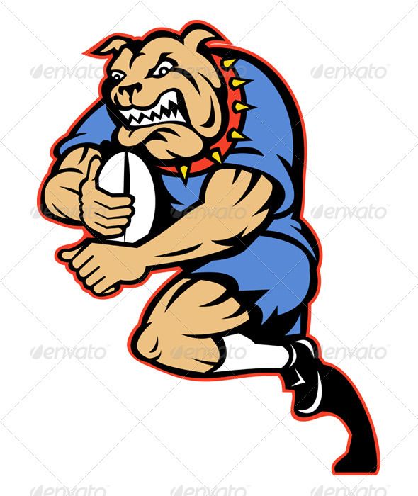 Bulldog Rugby Player Running With Ball.