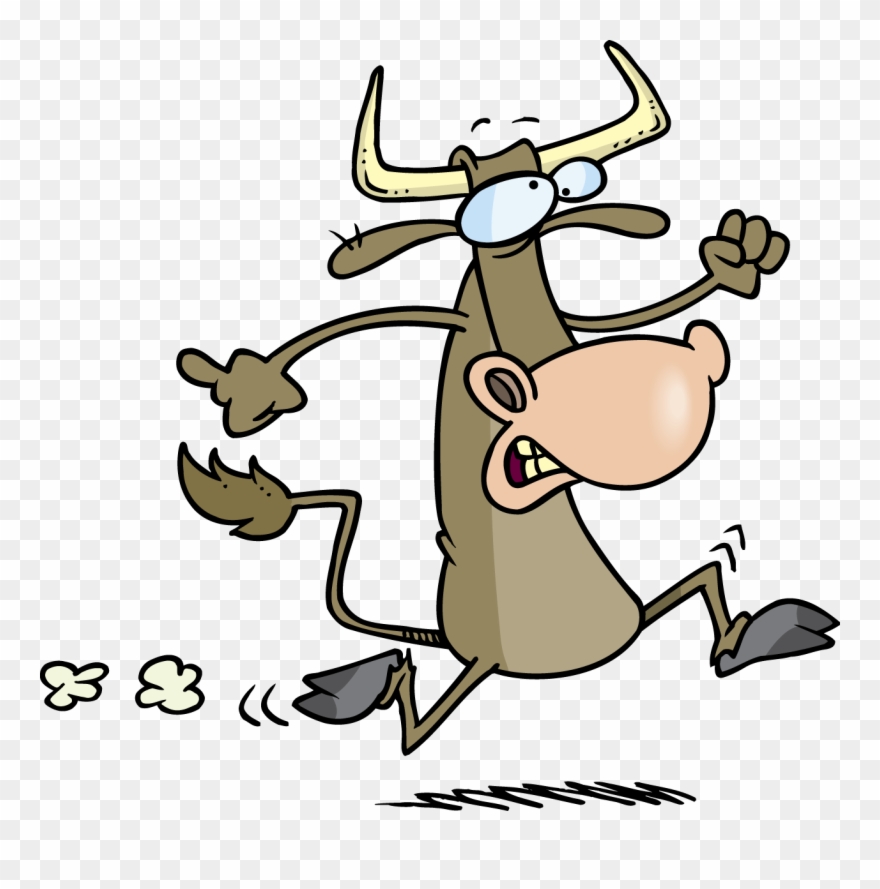 Ешь спи беги. Bull Run иллюстрации. Cows Run cartoon.