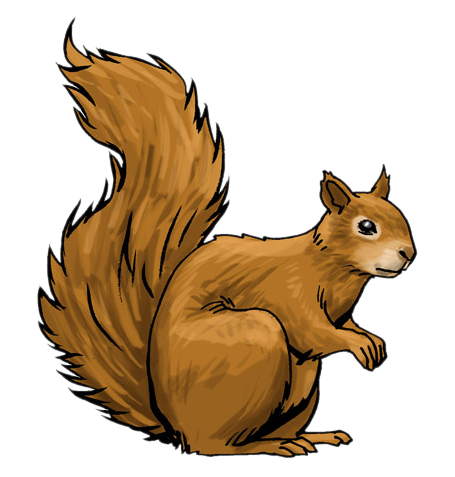 Squirrel Clipart.