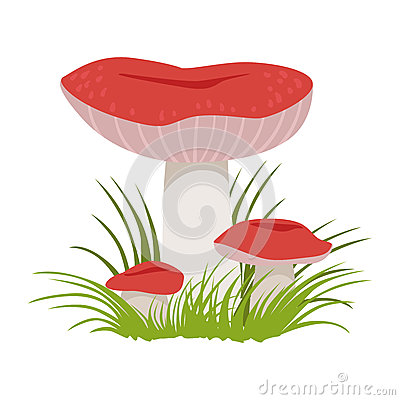 Russula Xerampelina, Edible Forest Mushrooms. Colorful Cartoon.