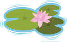 Water lily leaf clipart.