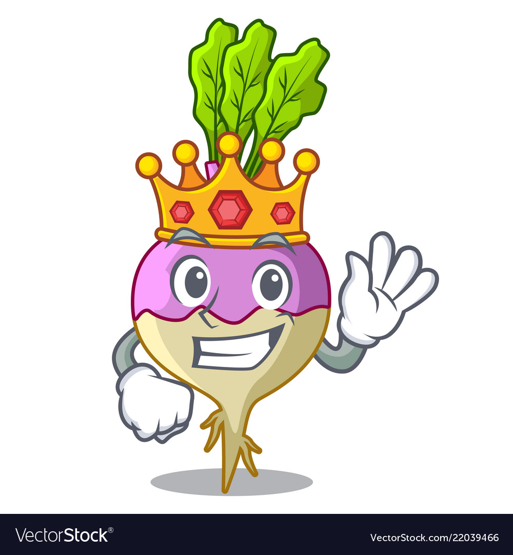 King raw rutabaga root isolated on mascot.