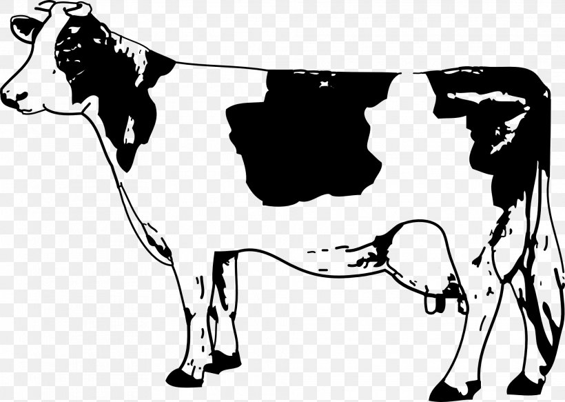 Cattle Calf Clip Art, PNG, 1969x1401px, Angus Cattle, Art.