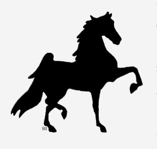 saddlebred clip art 10 free Cliparts | Download images on Clipground 2024