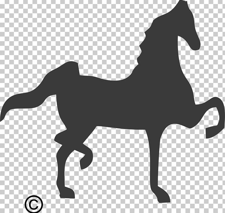 Download saddlebred clipart 10 free Cliparts | Download images on ...