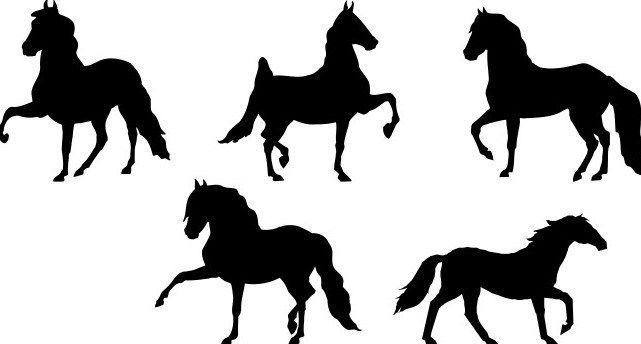 Free Set Of American Saddlebred Silhouettes Vector.