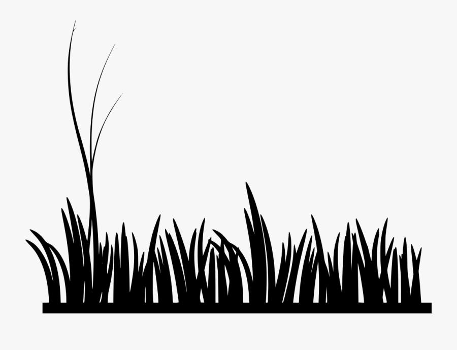 Safari Grass Clipart 10 Free Cliparts Download Images On Clipground 2022 8706