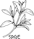 Similiar Sage Clip Art Keywords in sage clipart collection.