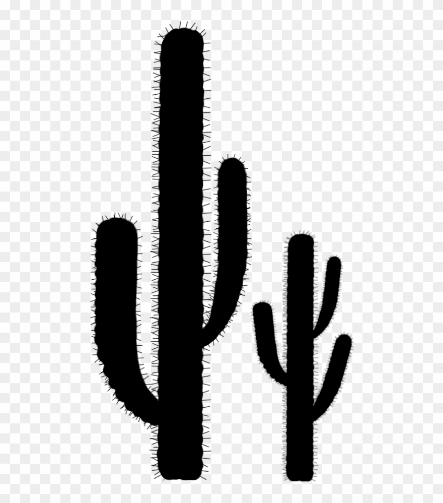 Cactus Silhouette.