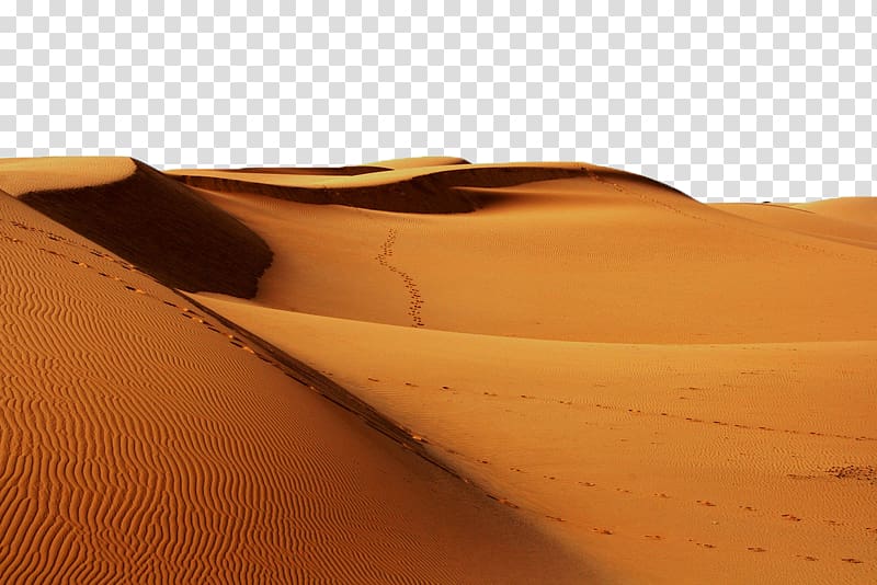 Desert sand, Sahara Erg Desert Continent Sand, desert.