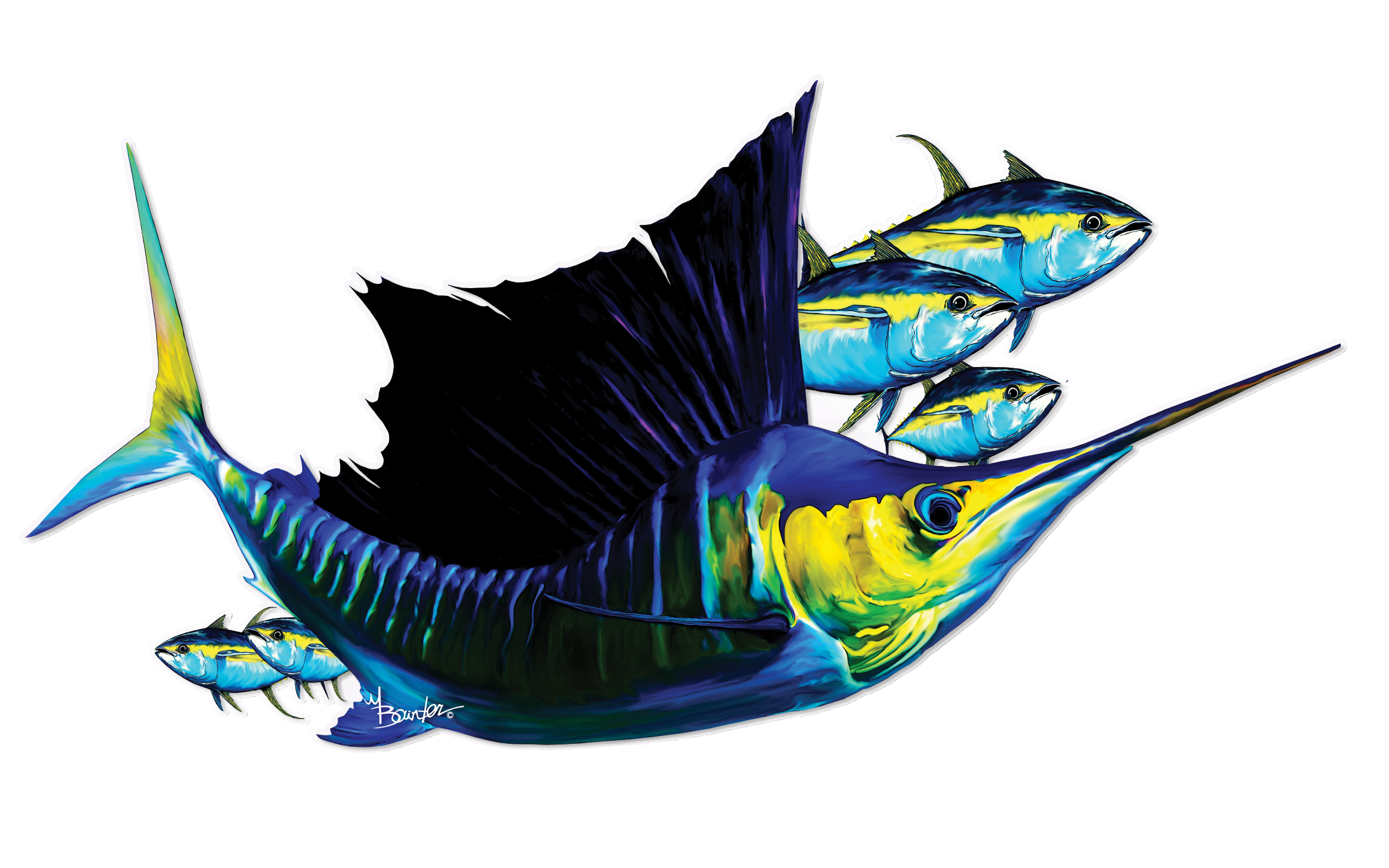 Sailfish.