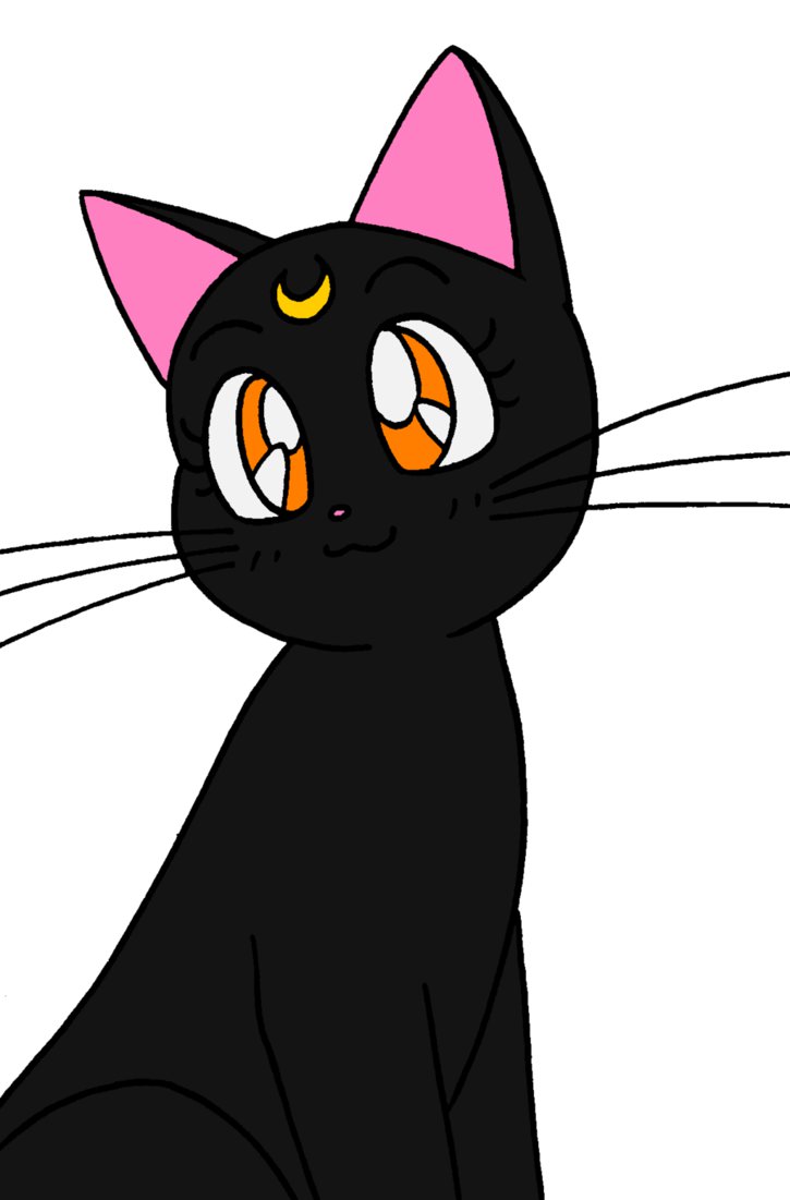 sailor moon cat png 10 free Cliparts | Download images on Clipground 2023