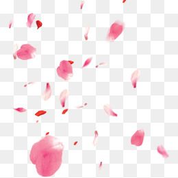sakura petals png 10 free Cliparts | Download images on Clipground 2021