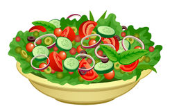 1744 Salad free clipart.