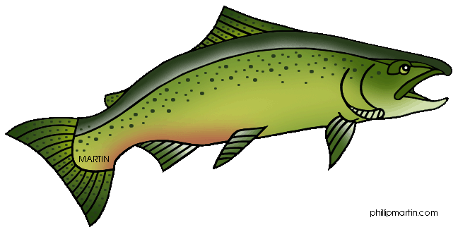 Salmon Clipart.