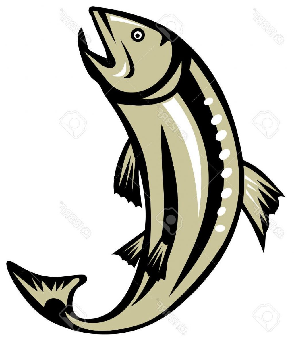 Collection of Salmon clipart.