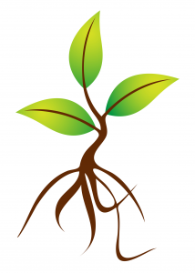 Tree Sapling Clipart.