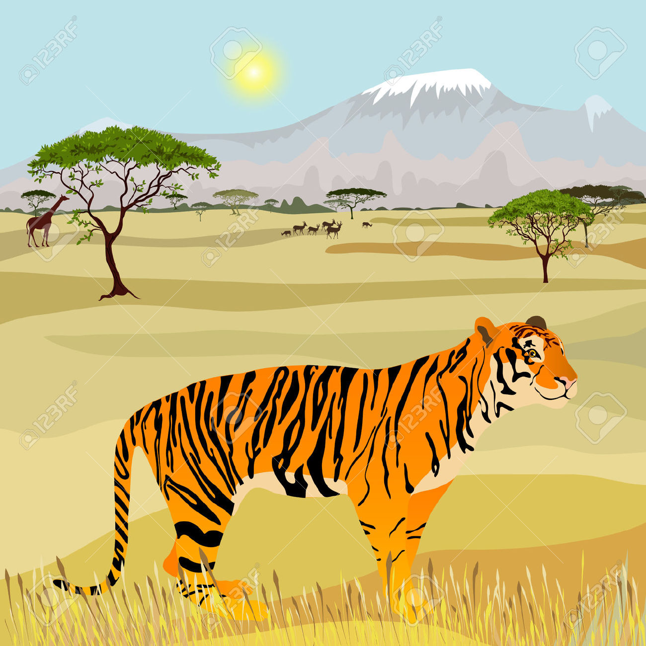 African savanna clipart.