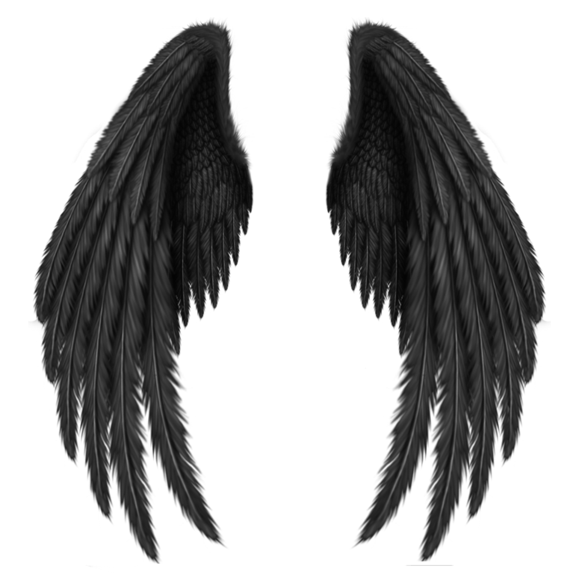Wings PNG images free download, angel wings PNG.
