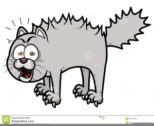 Clipart Scared Cat Free.