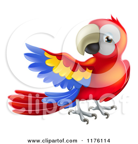Scarlet macaw clipart.