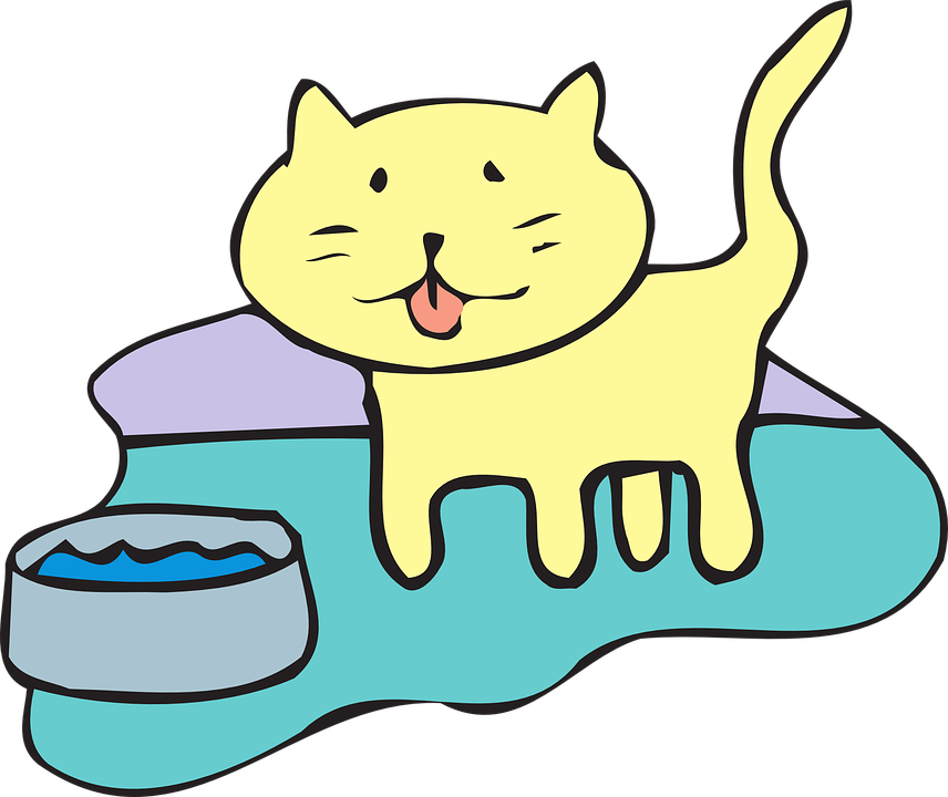 Free vector graphic: Cat, Water, Bowl, Pet, Animal.