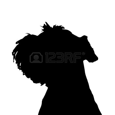 496 Schnauzer Stock Illustrations, Cliparts And Royalty Free.