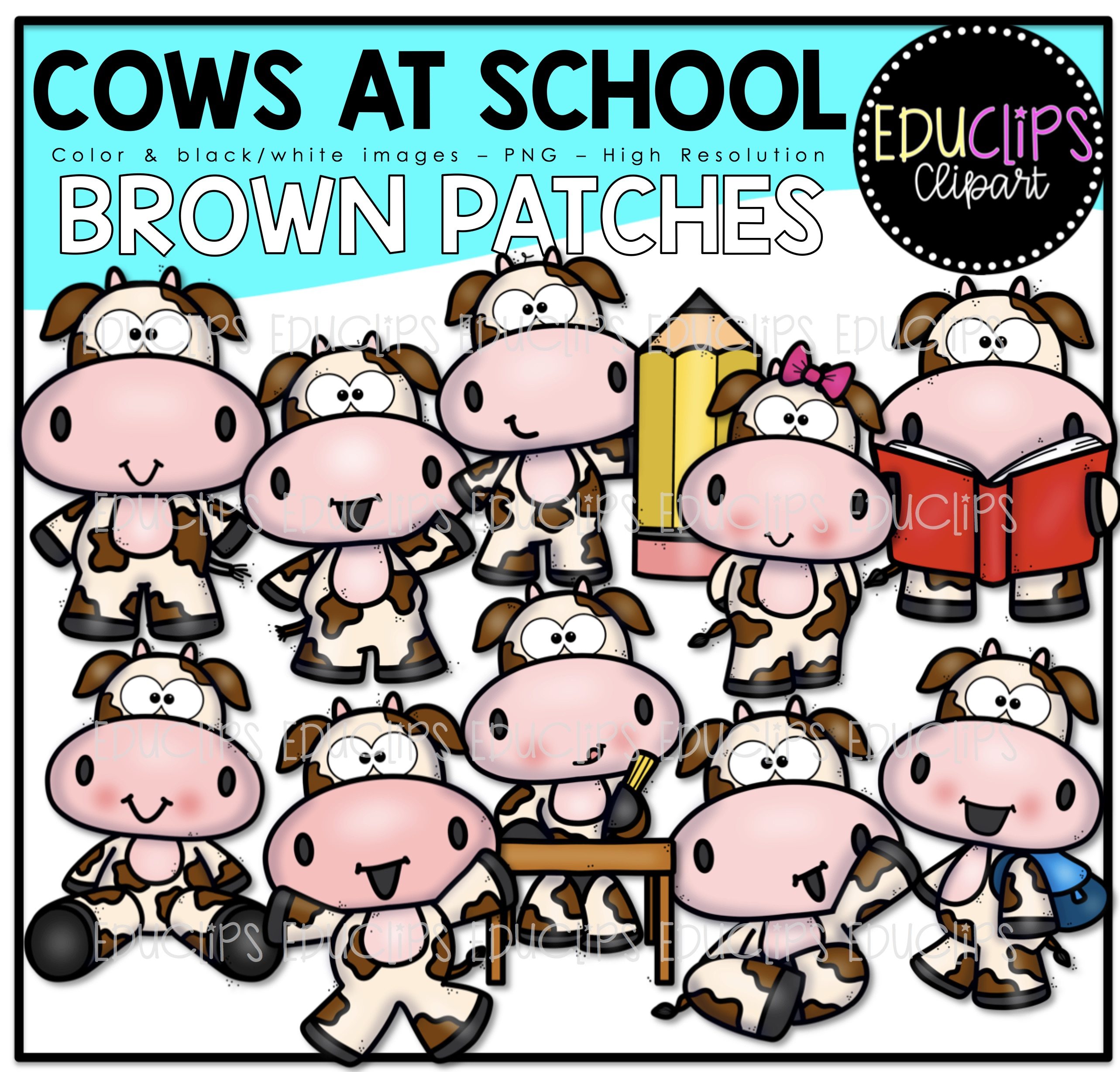 Cows At School.
